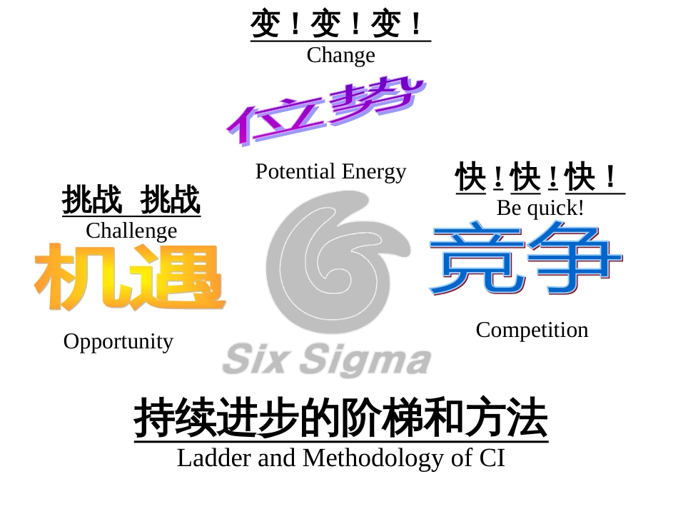 6SIGMA革新战略_第3页