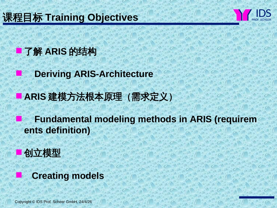 ARIS培训资料PPT44页_第2页