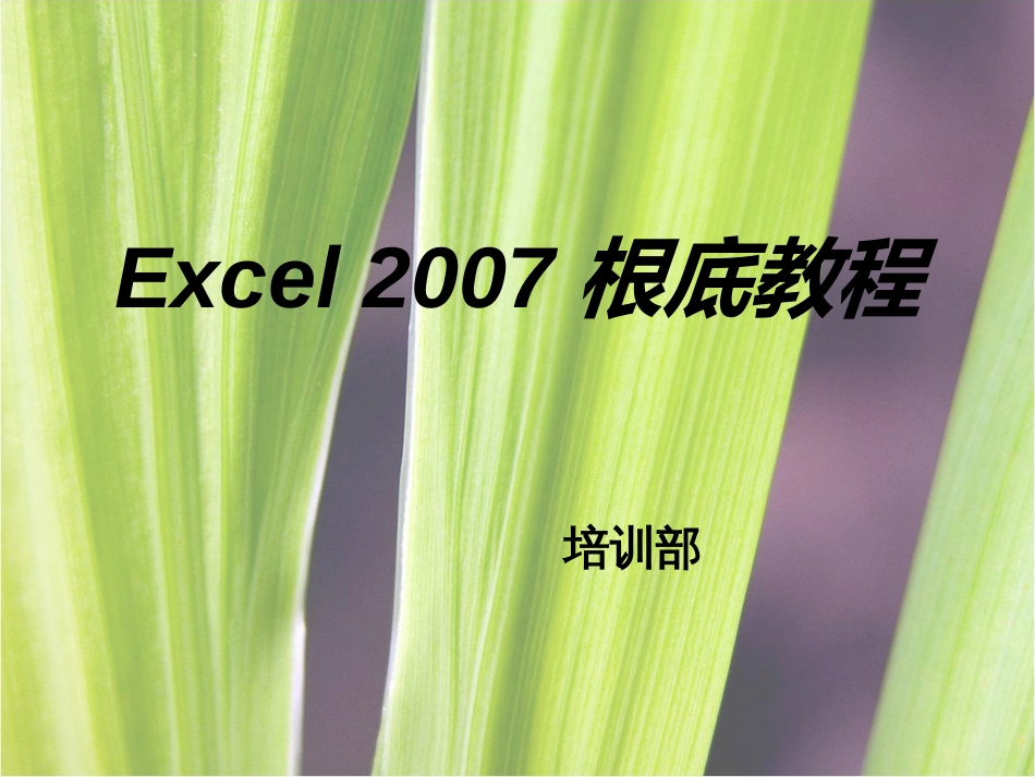 Excel2007基础教程(培训部)_第1页