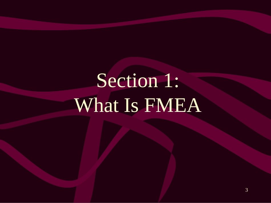 FMEA-Eng-3-8-00_第3页
