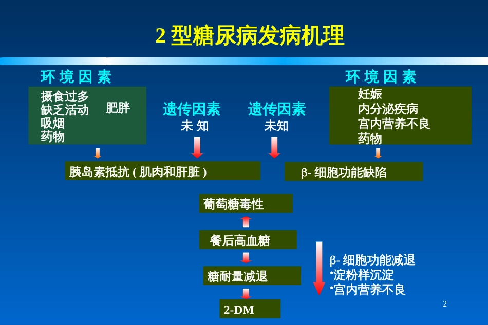 2型糖尿病联合药物治疗_第2页