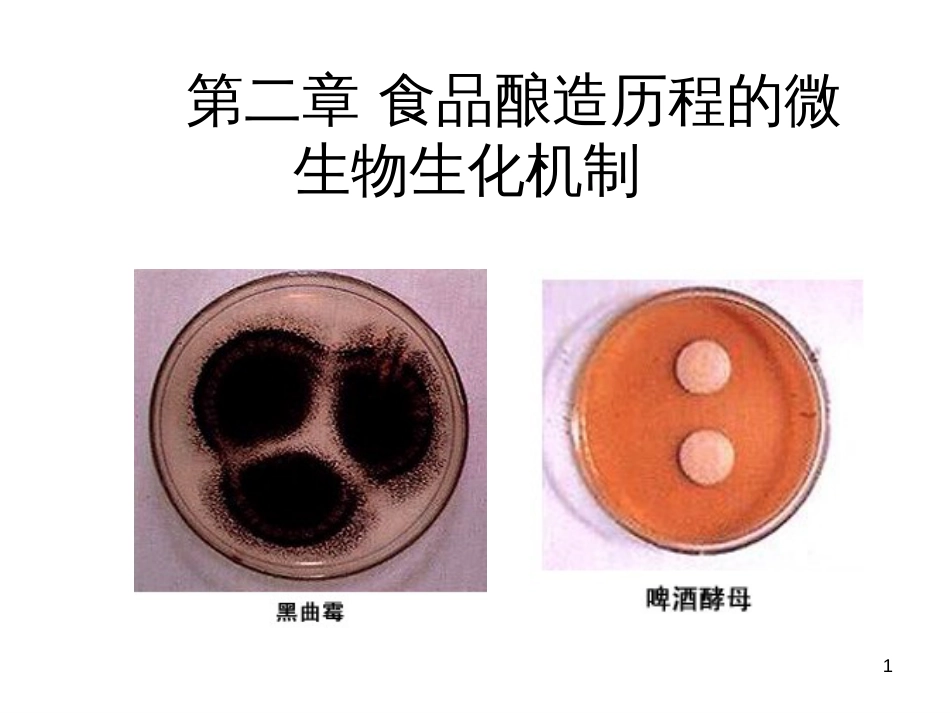 002 第二章 食品酿造历程的微生物生化机制_第1页