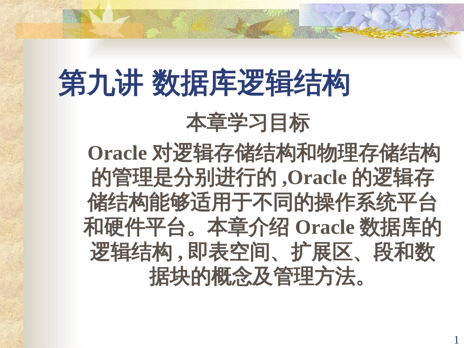 9-Oracle数据库逻辑结构_第1页