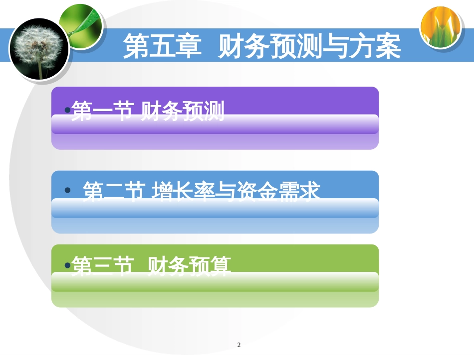 5财务预测与计划_第2页