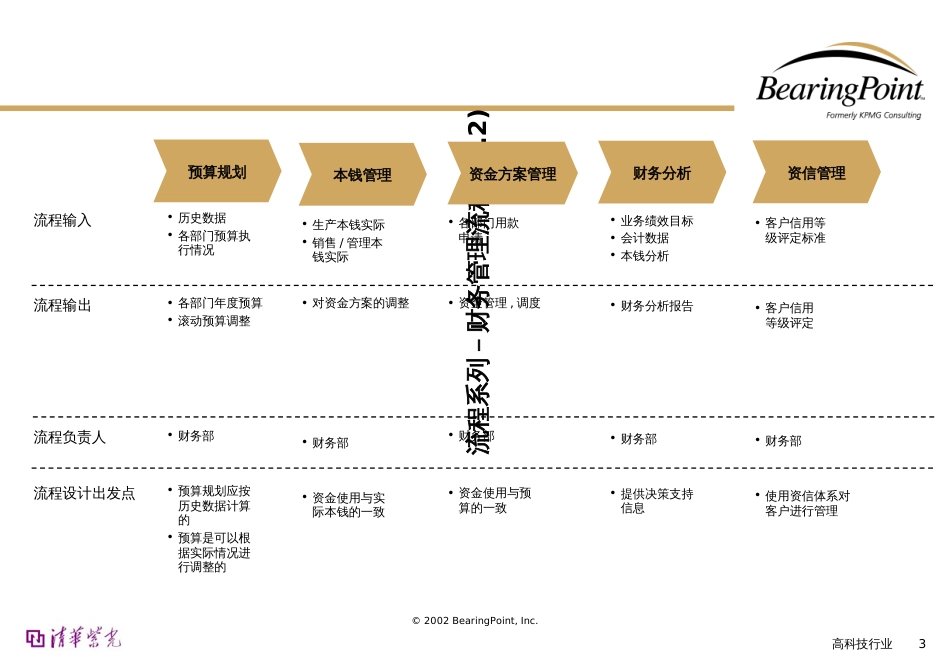 Bearingpoint财务管理流程(1)_第3页