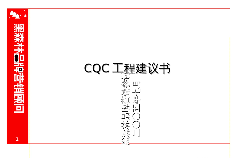 CQC项目建议书(3)_第1页