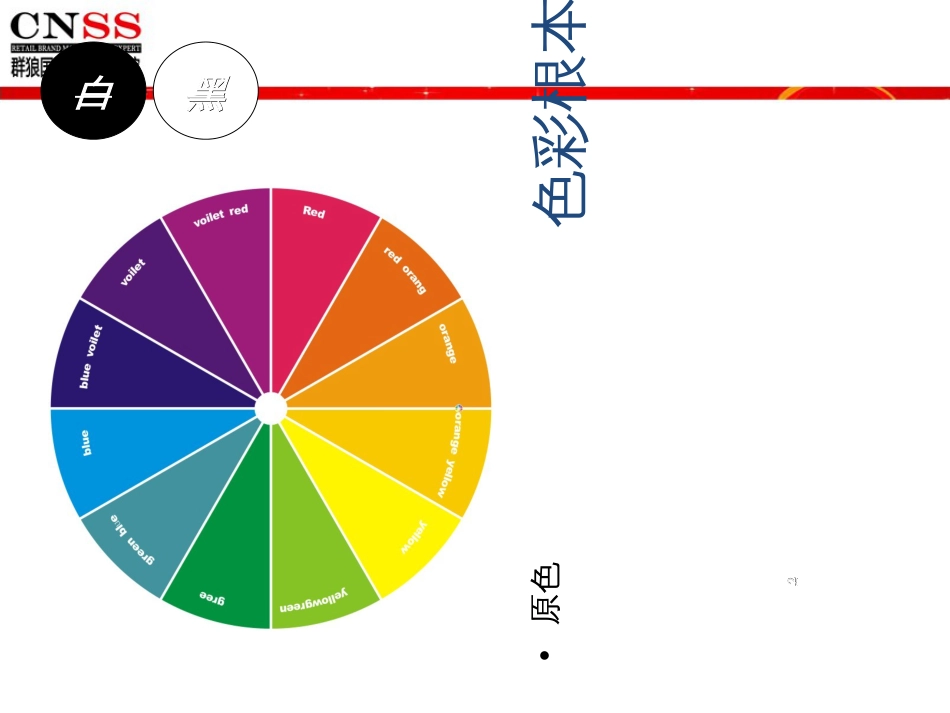 10-群狼国际服装色彩搭配及常见风格讲解_第2页