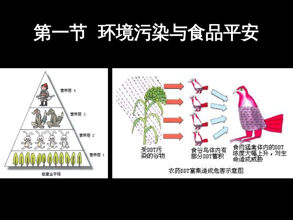 4食品安全卫生原理_第2页