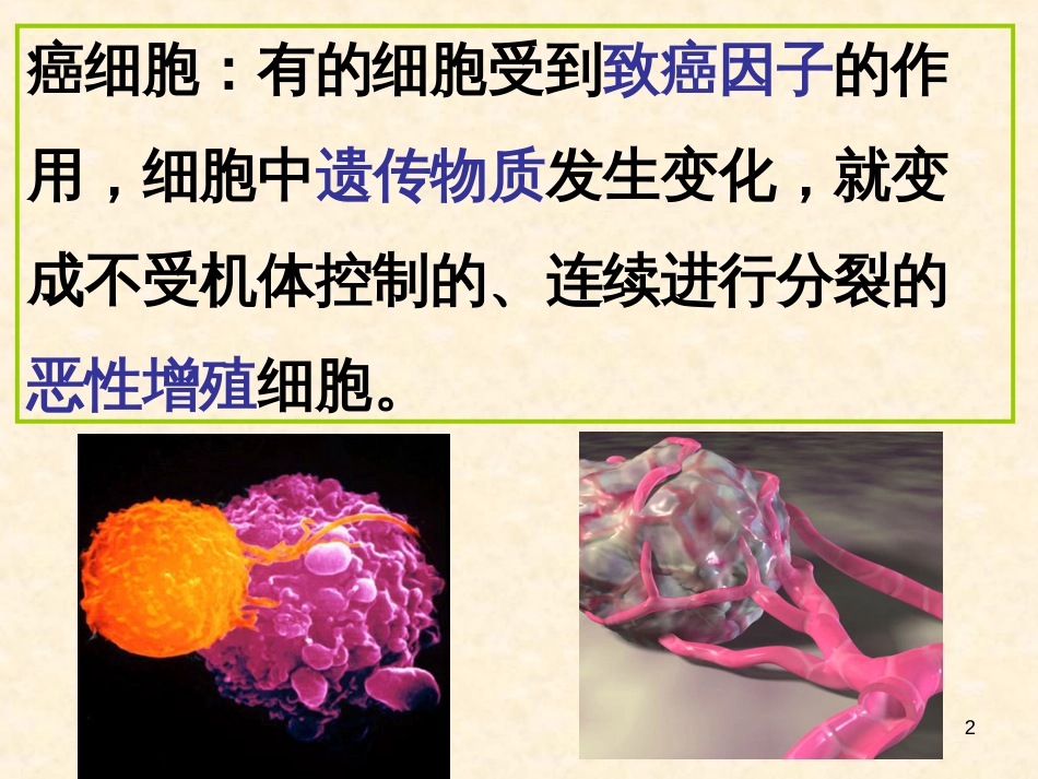 (生物64细胞的癌变课件2(人教版必修1)_第2页