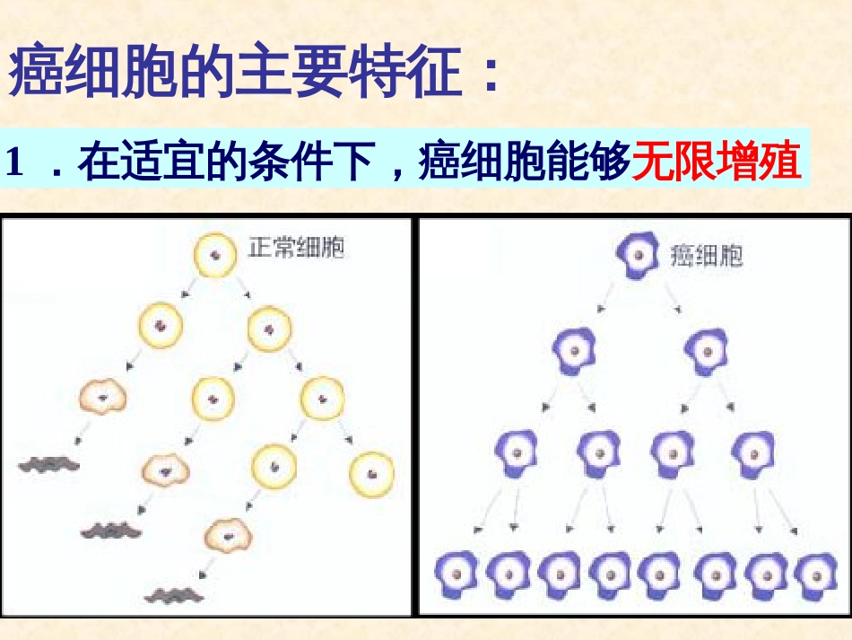 (生物64细胞的癌变课件2(人教版必修1)_第3页