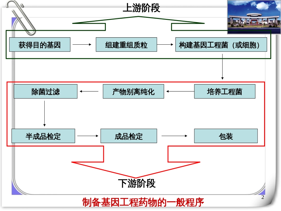 3-基因工程制药技术(2)_第2页