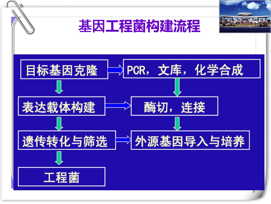 3-基因工程制药技术(2)_第3页