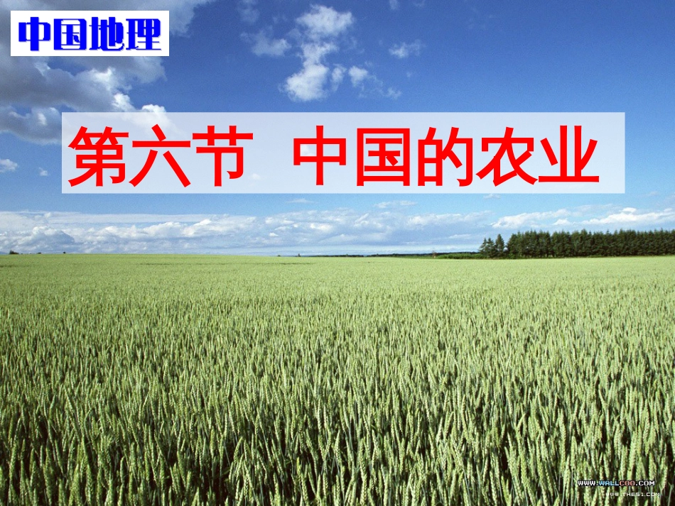 16 中国的农业07、10_第1页