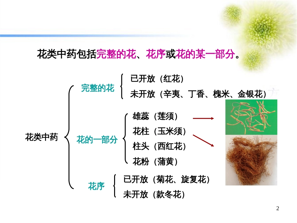 第10章花类生药鉴别[共63页]_第2页