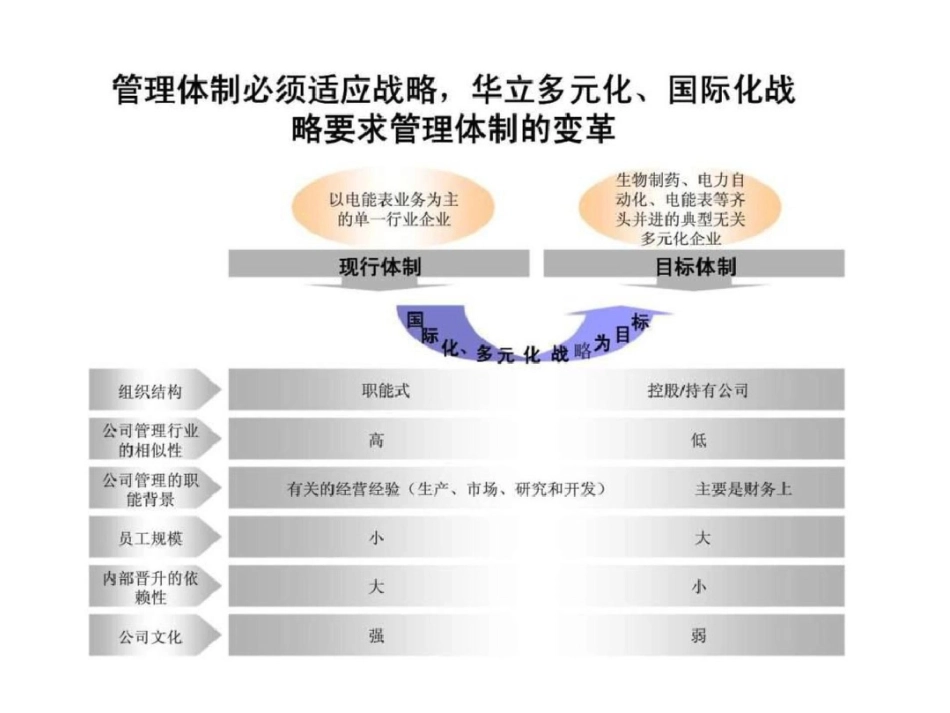 华立集团管理体制改革方案建议文档资料_第2页