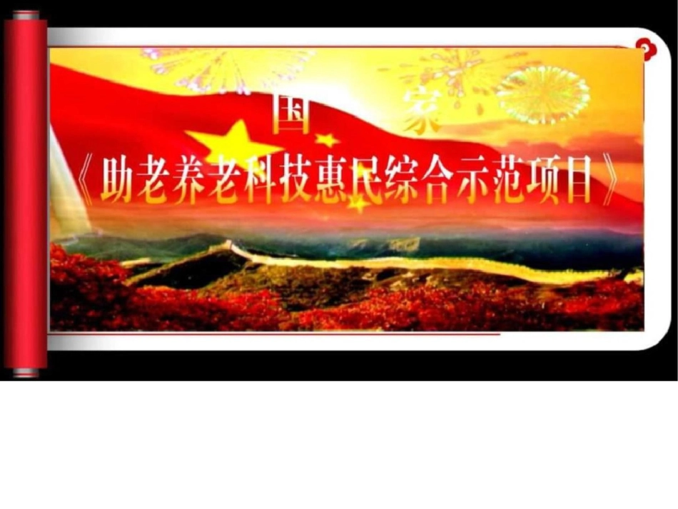 国家助老养老科技惠民综合示范项目图文.ppt文档资料_第1页