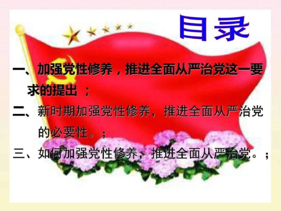 加强党性修养,推进全面从严治党.ppt文档资料20200621001106_第3页