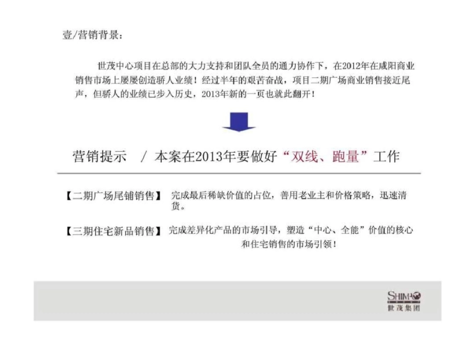 咸阳世茂中心项目2013年营销策略方案文档资料_第3页