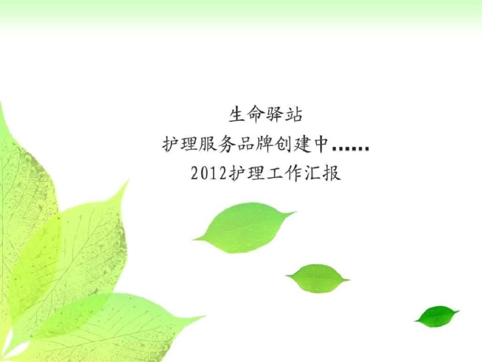 护士长管理亮点汇报.ppt文档资料_第1页