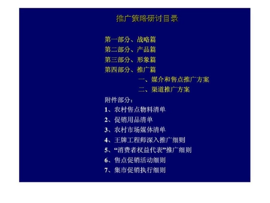 TCL王牌彩电农村市场推广策略研讨文档资料_第2页