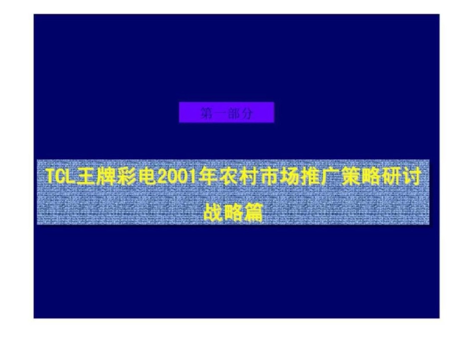 TCL王牌彩电农村市场推广策略研讨文档资料_第3页