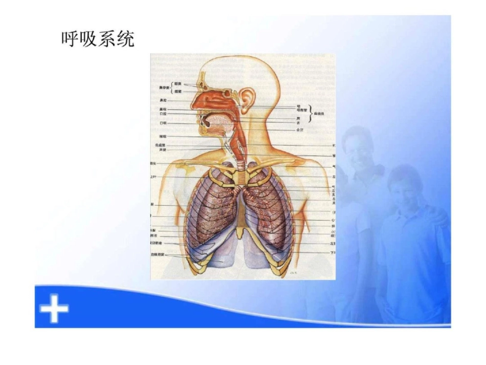 呼吸衰竭的护理.ppt文档资料_第2页