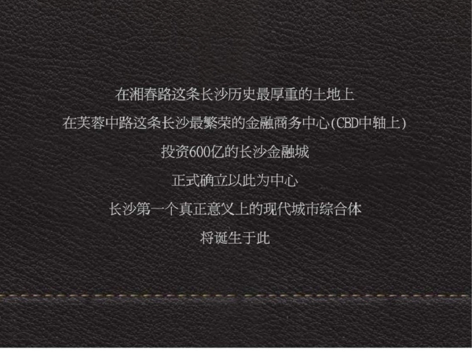 国际城市综合体项目整合推广策略方案131页文档资料_第2页