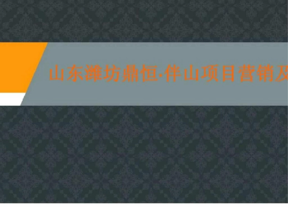 山东潍坊鼎恒伴山项目营销及产品建议文档资料_第1页