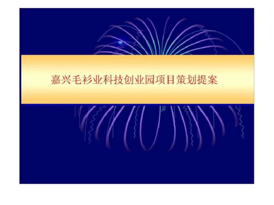 嘉兴毛衫业科技创业园项目策划提案文档资料_第1页