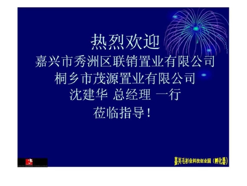 嘉兴毛衫业科技创业园项目策划提案文档资料_第2页