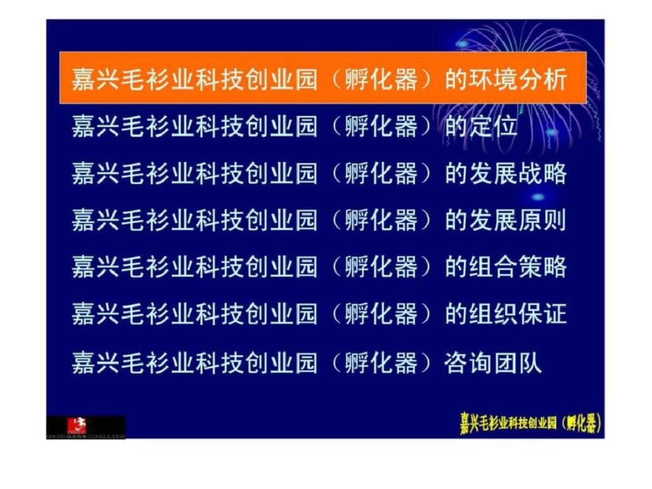 嘉兴毛衫业科技创业园项目策划提案文档资料_第3页