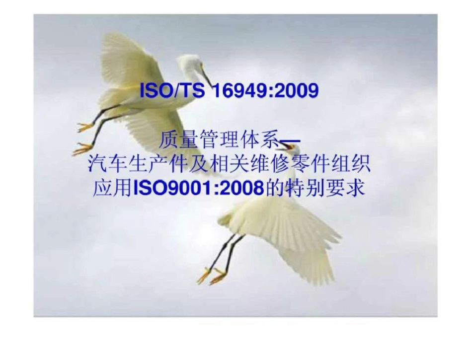 TS169492009培训讲义文档资料_第2页