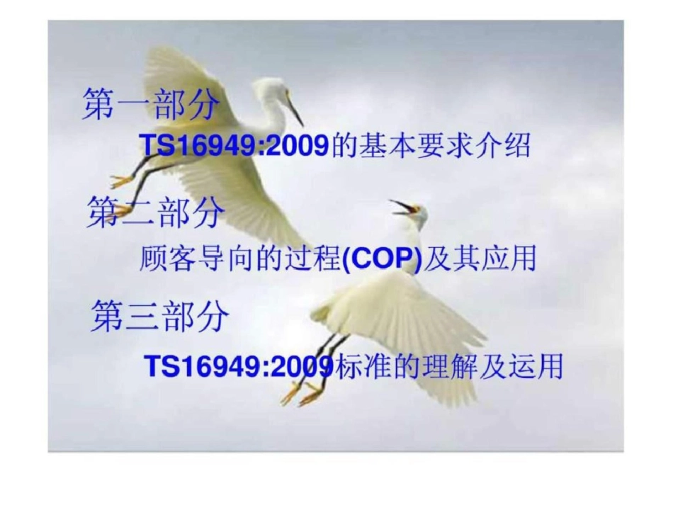 TS169492009培训讲义文档资料_第3页