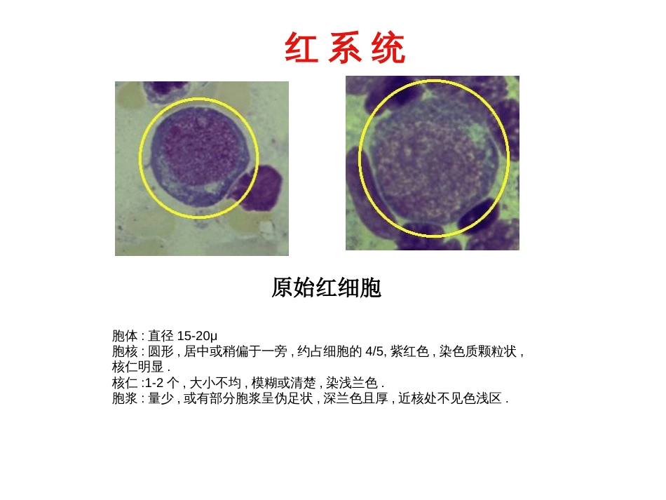 常见血液学图谱[共73页]_第2页