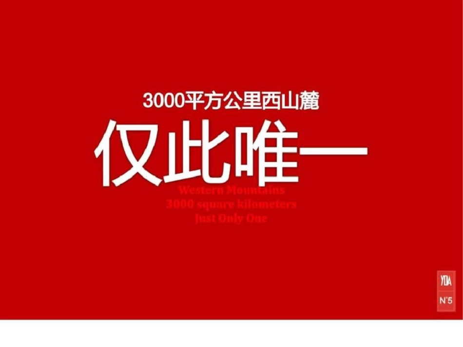 北京西山项目豪宅项目定位与推广策略109p图文文档资料_第2页