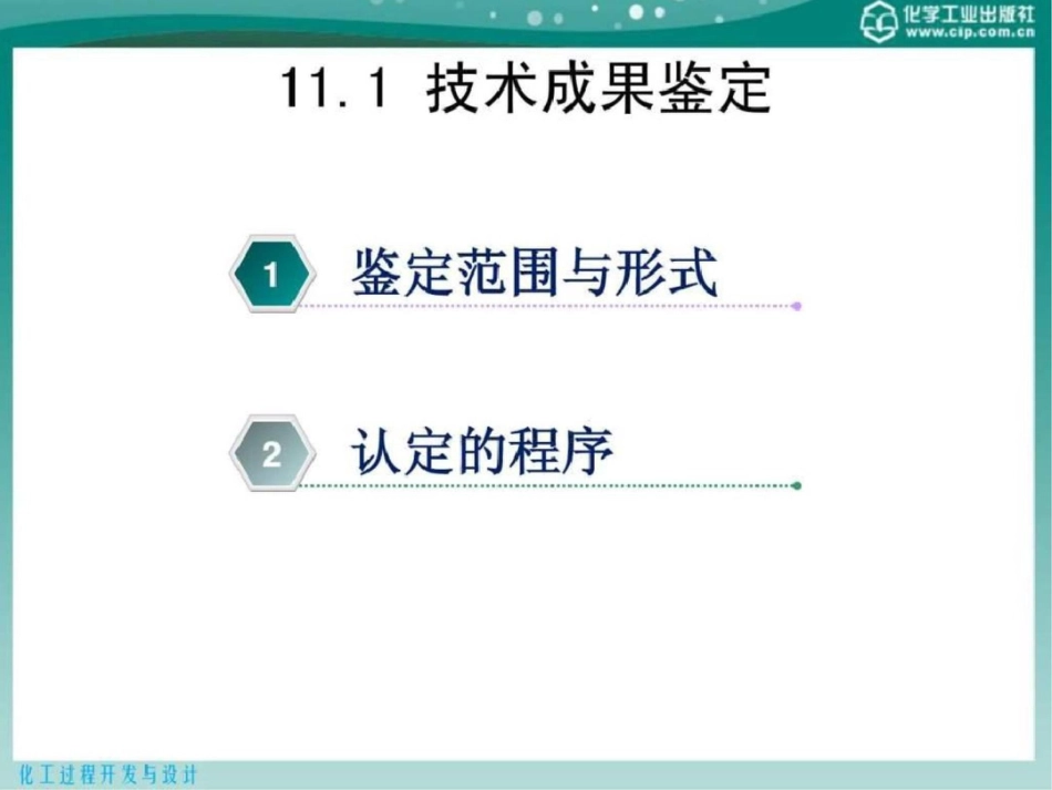 化工过程开发与设计第11章化工过程开发与技术转让中文档资料_第3页