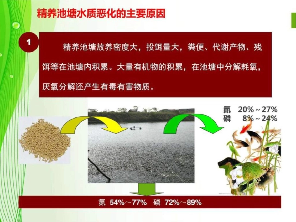 北方精养池塘水质调控技术图文.ppt文档资料_第1页