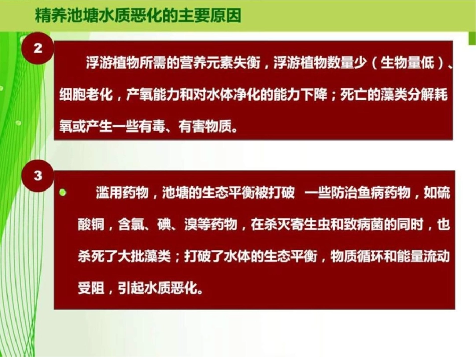 北方精养池塘水质调控技术图文.ppt文档资料_第2页