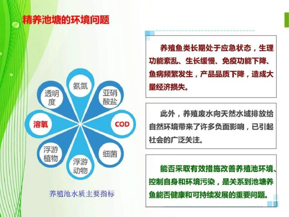 北方精养池塘水质调控技术图文.ppt文档资料_第3页