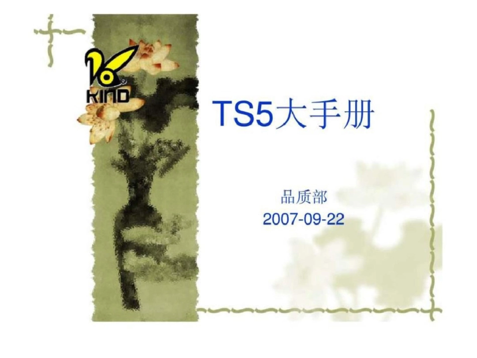 TS5大手册文档资料_第1页