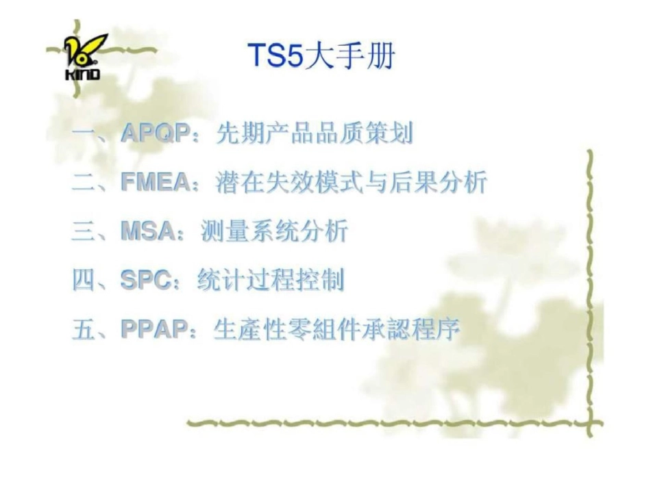 TS5大手册文档资料_第2页