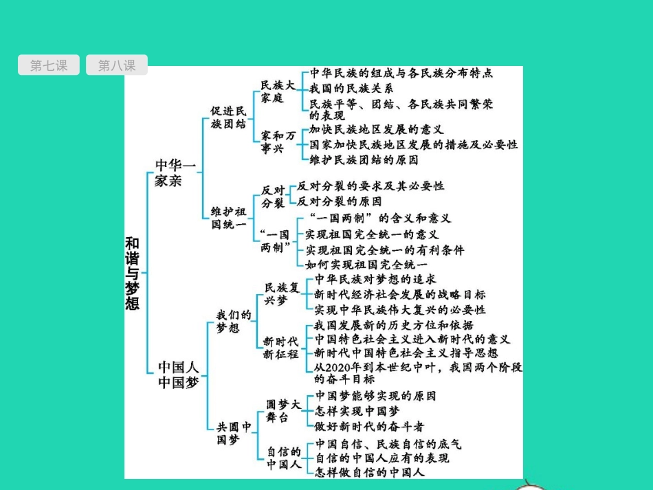 甘肃中考道德与法治九上第四单元和谐与梦想复习课件_第2页