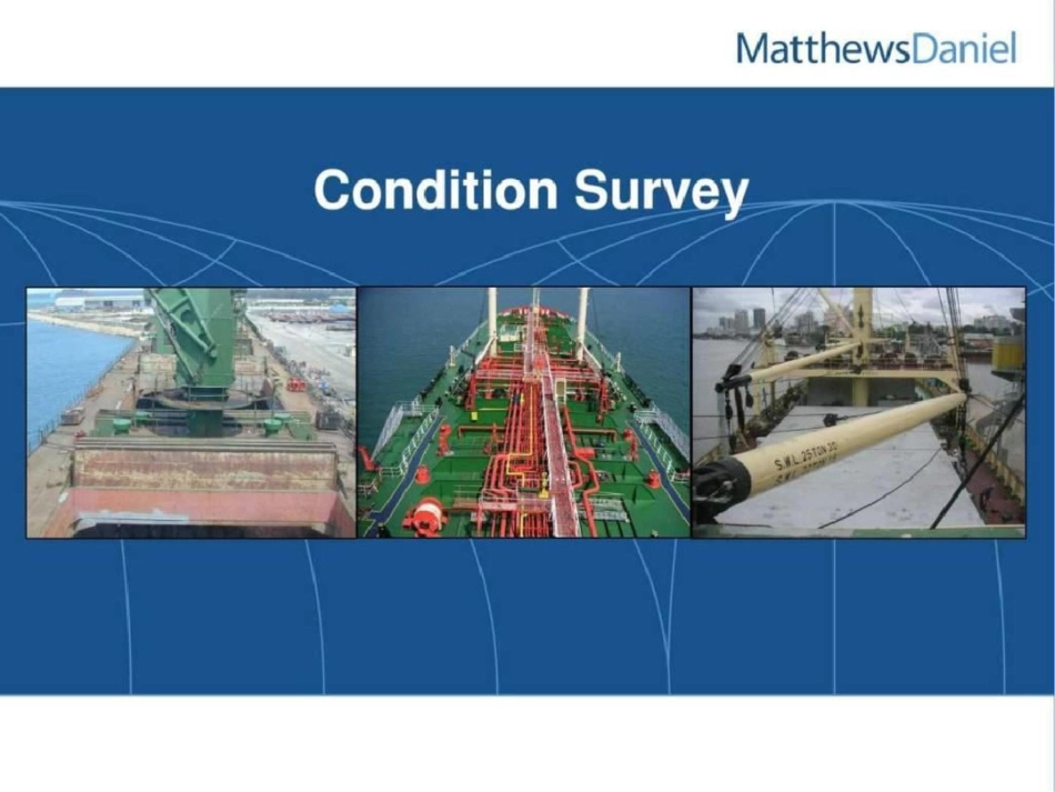 国外协会资料英文的船舶状况检验conditionsurvey文档资料_第2页