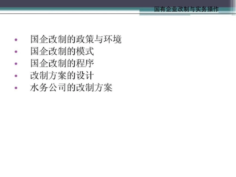 国有企业改制实务培训文档资料_第2页