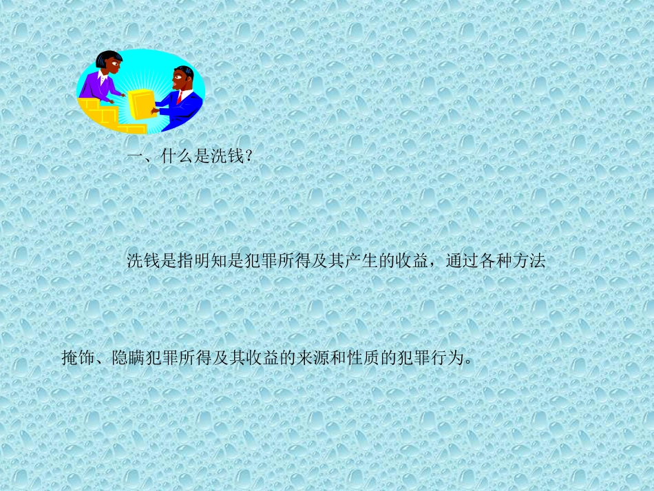 反洗钱培训教材PPT共87张_第2页