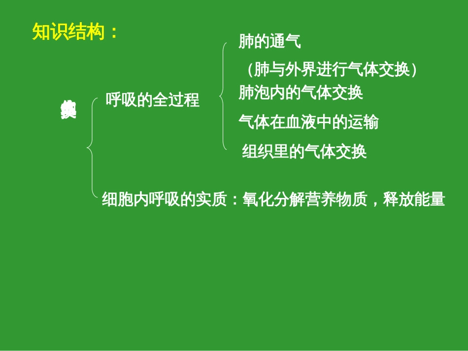 发生在肺内的气体交换[共30页]_第2页