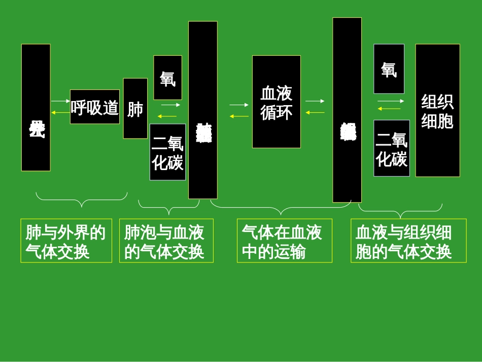 发生在肺内的气体交换[共30页]_第3页