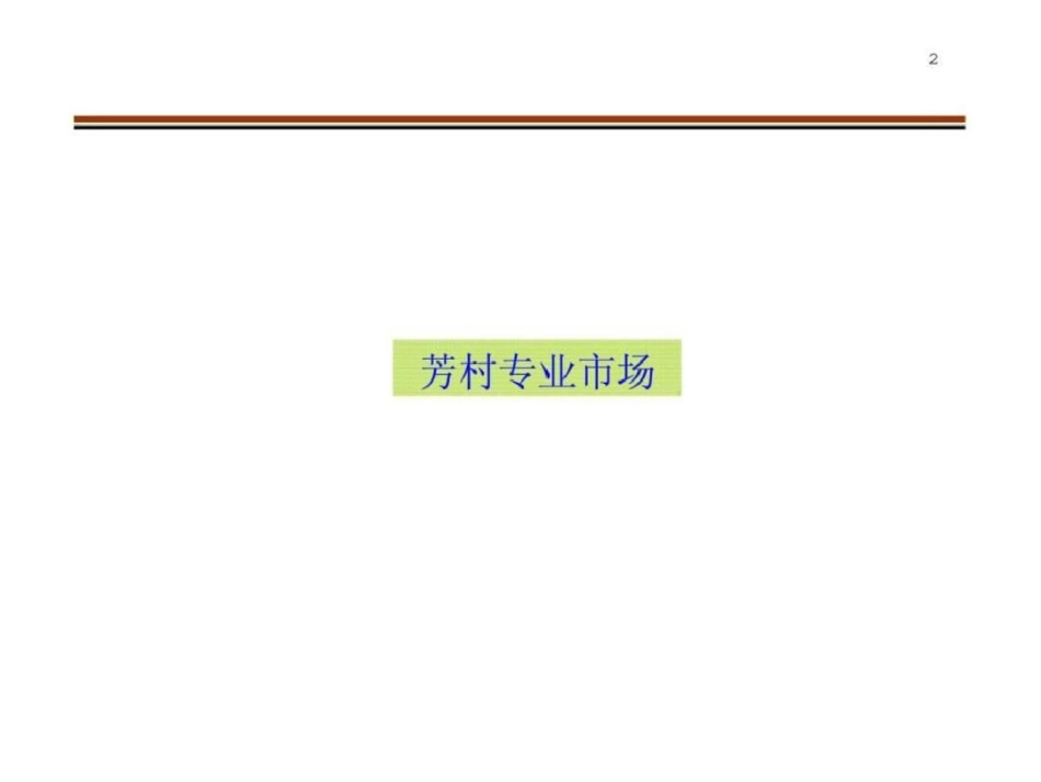 广州市荔湾区芳村项目前期策划报告之二文档资料_第2页