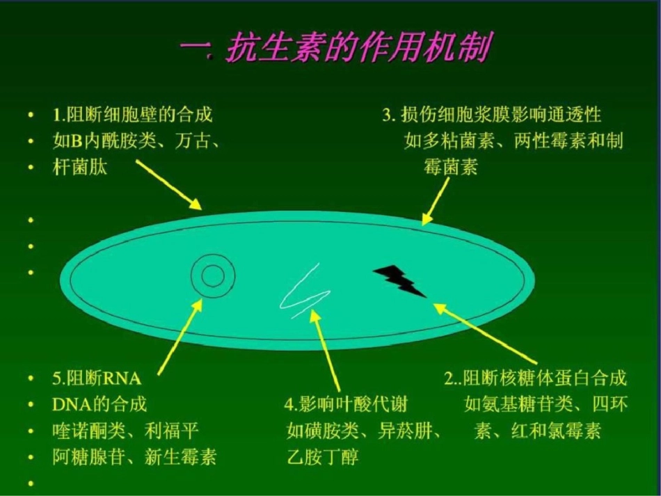 ww北京协和医院感染内科.ppt文档资料_第2页