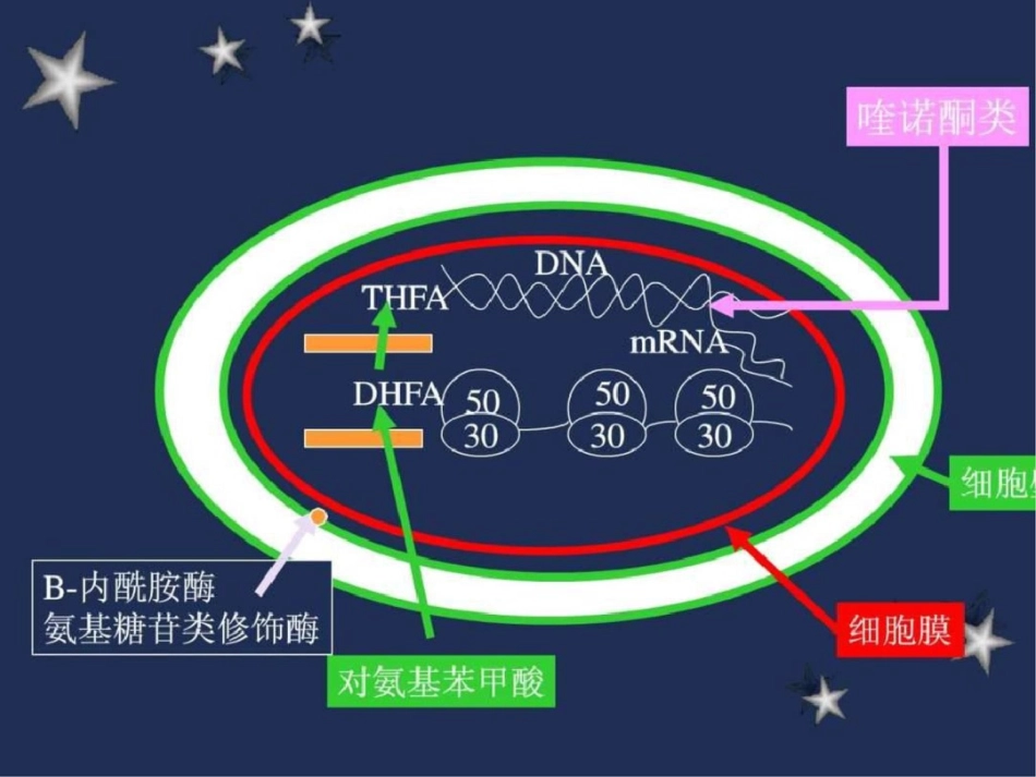 ww北京协和医院感染内科.ppt文档资料_第3页